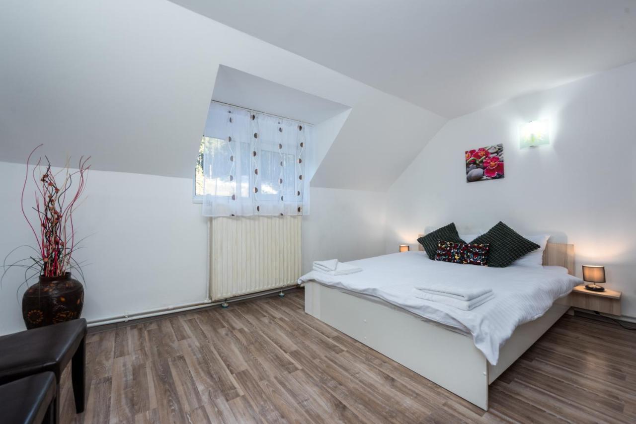 Pensiunea Ursuletul Paddington Predeal Exterior foto